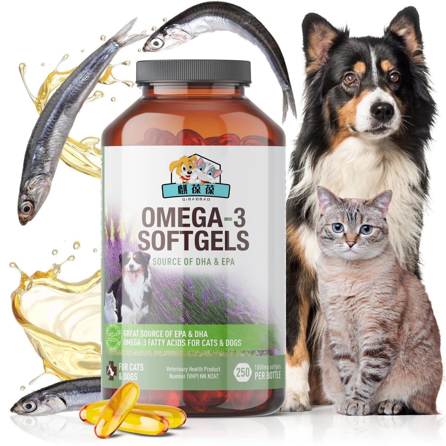 OEM of pet softgels and hard capsule health products Pet food Research and development of pet fish oil pills ShanDong QiHeng Pet.jpg